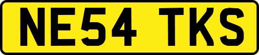 NE54TKS