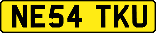 NE54TKU