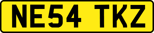 NE54TKZ