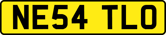 NE54TLO