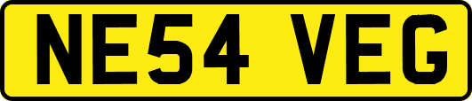 NE54VEG