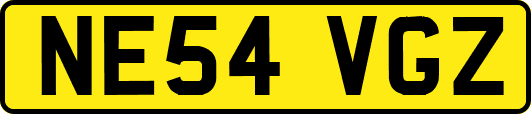 NE54VGZ