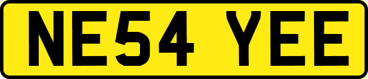 NE54YEE