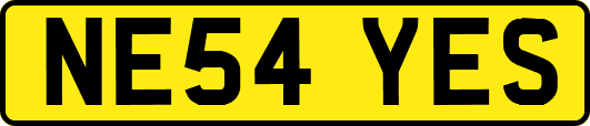 NE54YES