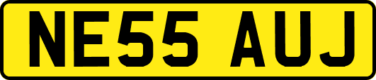 NE55AUJ