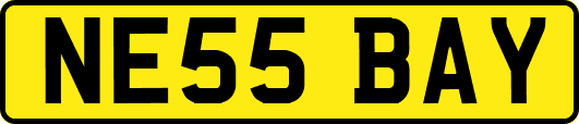 NE55BAY