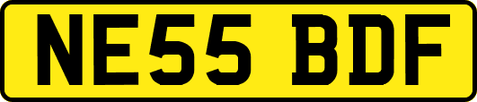 NE55BDF