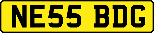 NE55BDG