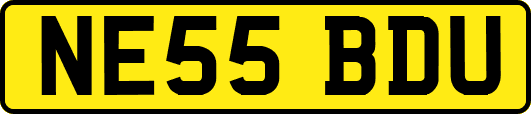 NE55BDU