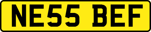 NE55BEF