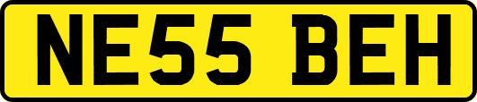 NE55BEH