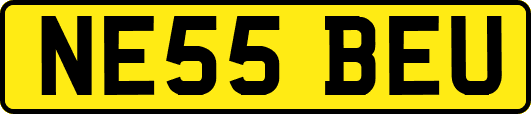 NE55BEU