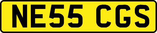 NE55CGS