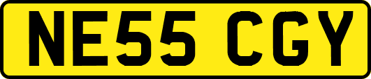 NE55CGY