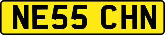 NE55CHN