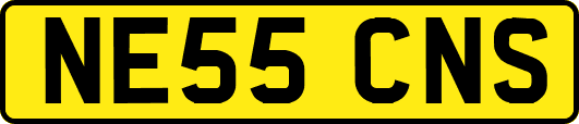 NE55CNS