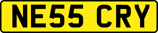 NE55CRY