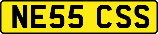 NE55CSS