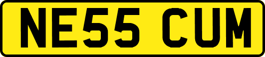 NE55CUM