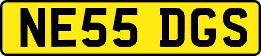 NE55DGS