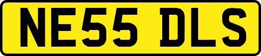 NE55DLS