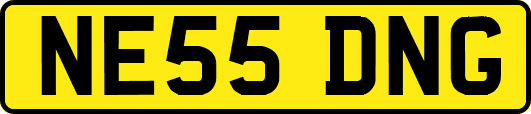 NE55DNG