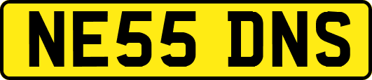 NE55DNS