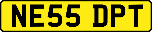 NE55DPT