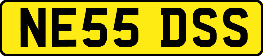 NE55DSS