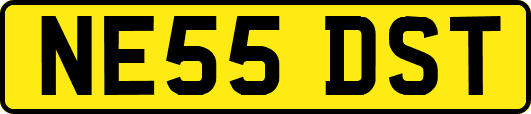 NE55DST