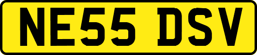 NE55DSV