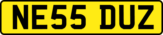 NE55DUZ