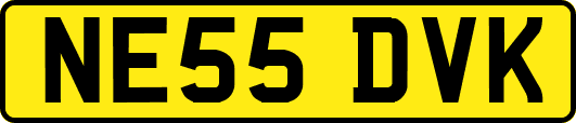 NE55DVK