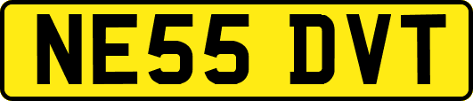 NE55DVT