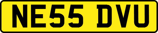 NE55DVU