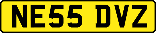 NE55DVZ