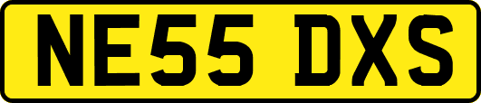 NE55DXS