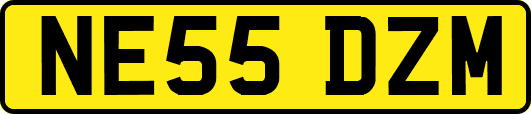 NE55DZM