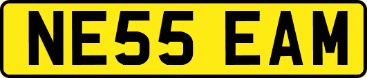 NE55EAM