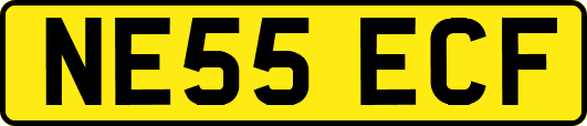 NE55ECF