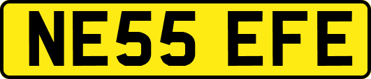 NE55EFE