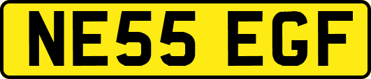 NE55EGF