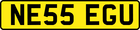 NE55EGU