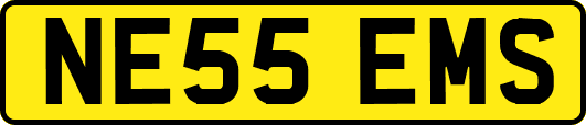 NE55EMS