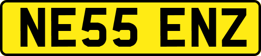 NE55ENZ