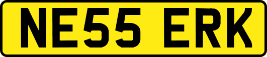 NE55ERK