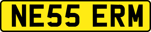 NE55ERM