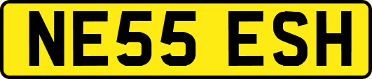 NE55ESH