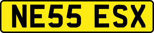 NE55ESX
