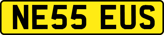 NE55EUS